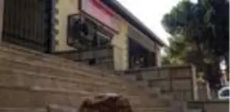 Ölen kişinin yakınları Adli Tıp Kurumu'nun kapı camlarını kırdı