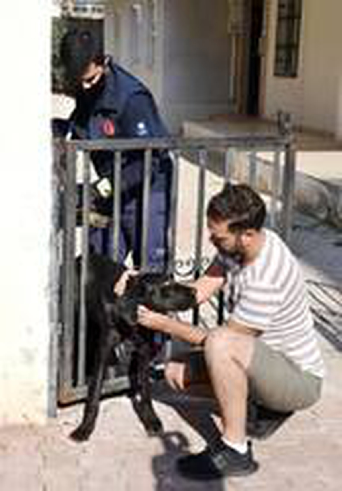 Parmaklığa sıkışan köpek kurtarılınca minik Yağız sevinçten zıpladı