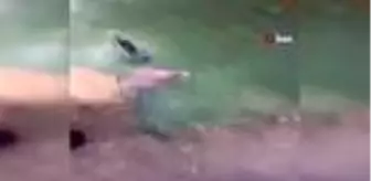 (PEKİN)- İngiliz Diplomat Çinli Kadını Boğulmaktan Kurtardı