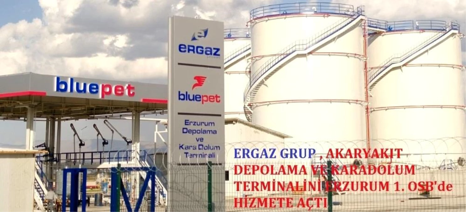 Türkiye Ekonomisine Ergaz enerjisi