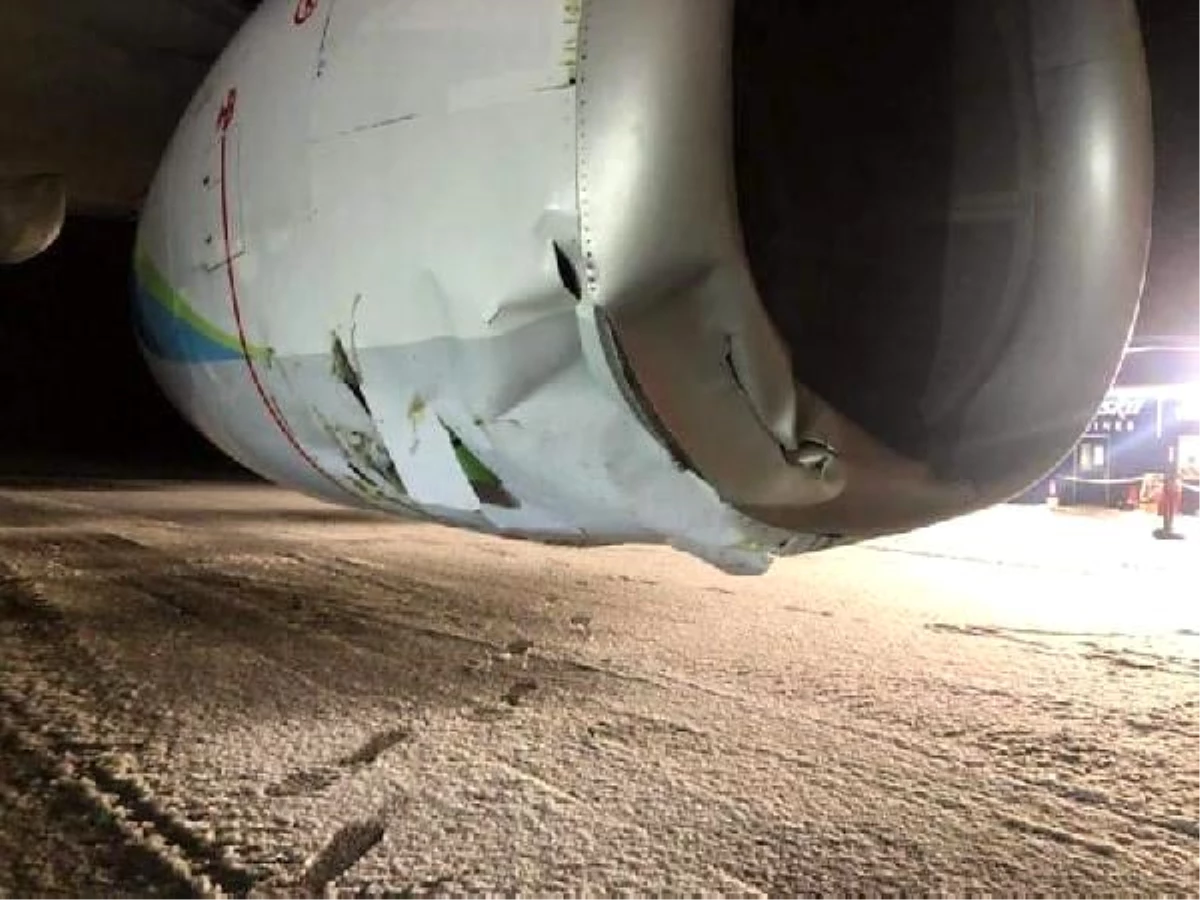 Alaska\'da Boeing tipi yolcu uçağı boz ayıya çarptı