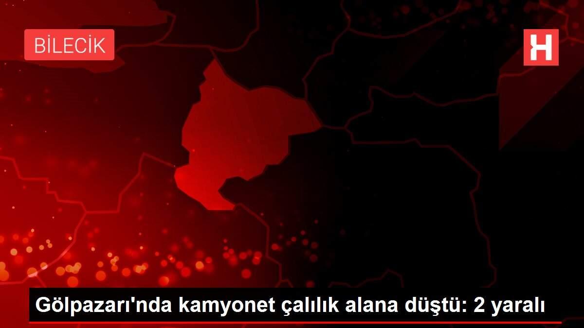 Gölpazarı'nda kamyonet çalılık alana düştü: 2 yaralı