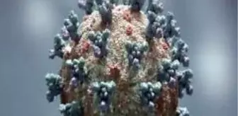 İtalya'da 3 Nisan'dan bu yana en yüksek ölüm sayısıİtalya'da son 24 saatte koronadan 731 ölüm