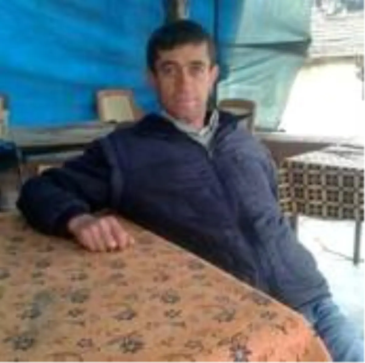 Son dakika! Kestiği ağacın altında kalarak hayatını kaybetti