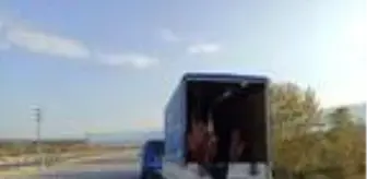 Bozuk etleri piyasaya süreceklerdi