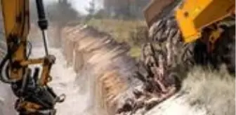 Danimarka Gıda Bakanı Jensen 'vizon itlafı' krizi nedeniyle istifa etti