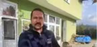 Dükkanına giren baykuşu besleyip doğaya saldı