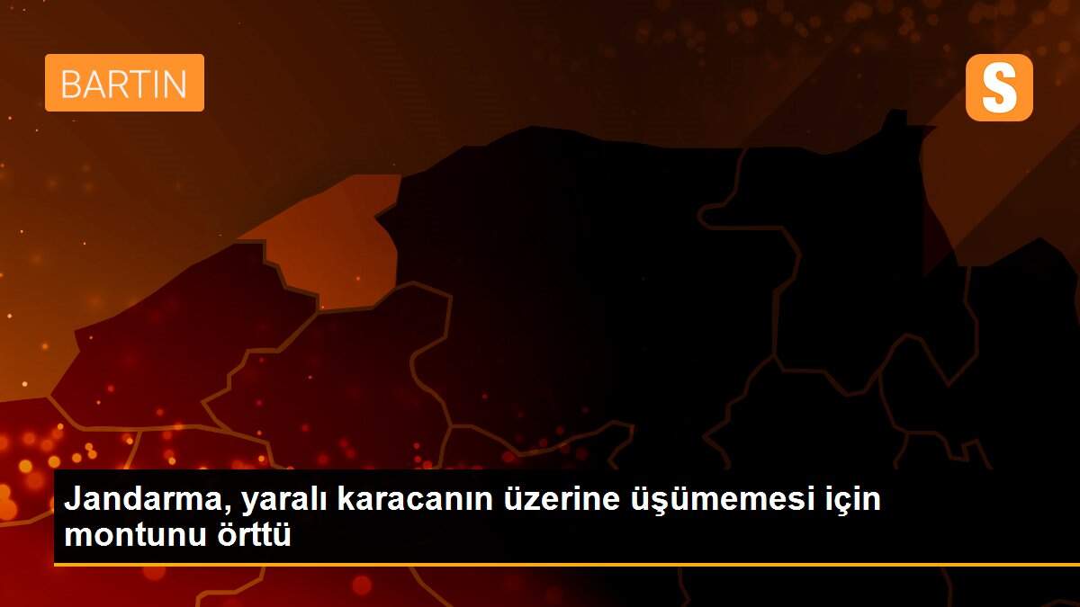 Jandarma, yaralı karacanın üzerine üşümemesi için montunu örttü