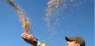 Kars'ta avcılar avlamak yerine bu kez yemledi