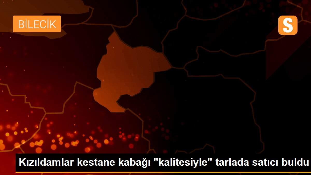Kızıldamlar kestane kabağı "kalitesiyle" tarlada satıcı buldu