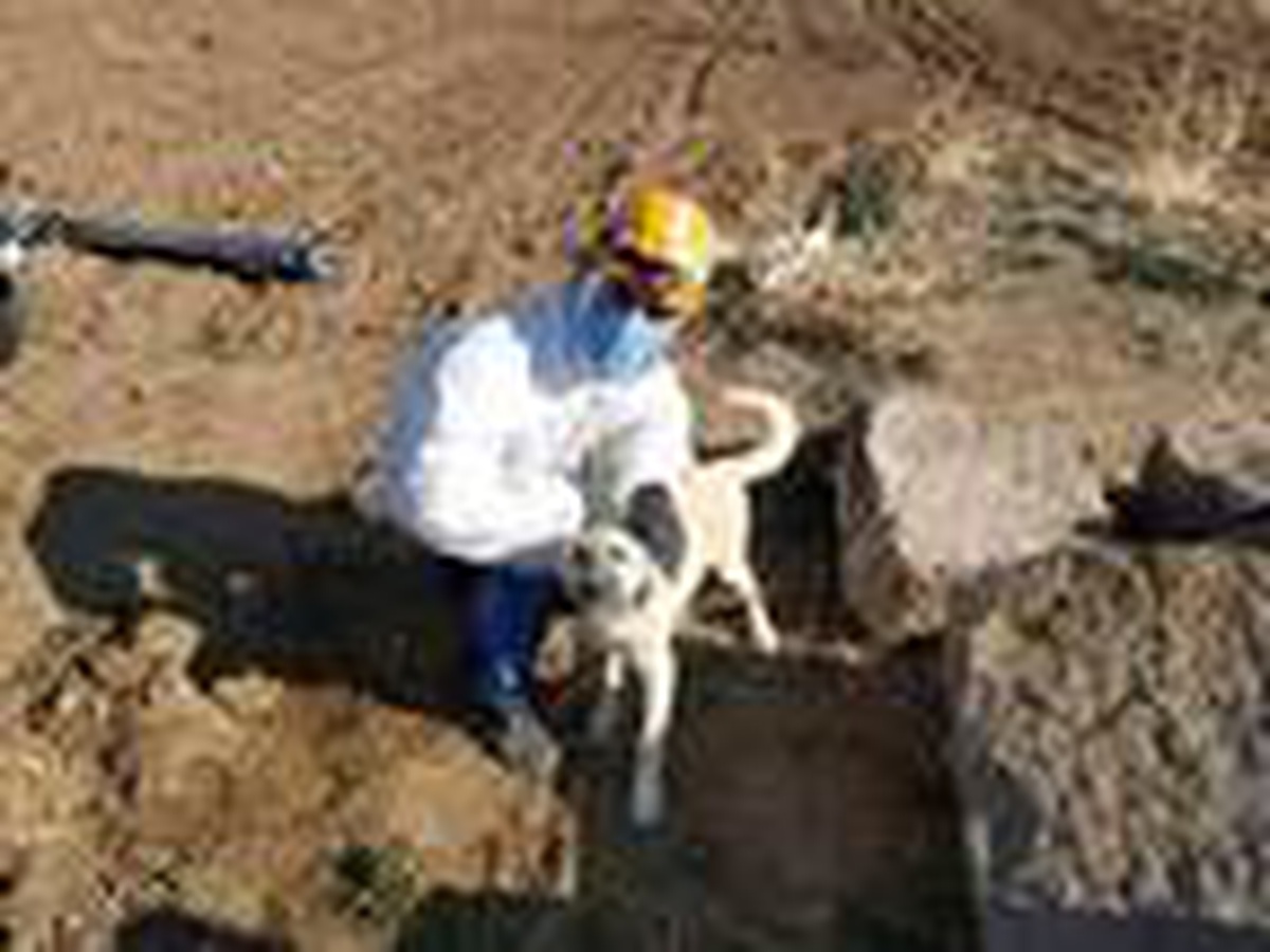 Niğde\'de 4 gündür su kuyusunda mahsur kalan köpek kurtarıldı