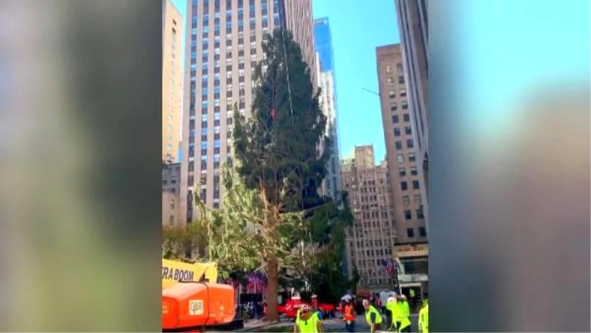 Rockefeller Center\'a konulacak Noel ağacı 88\'inci kez ışıklandırılacak