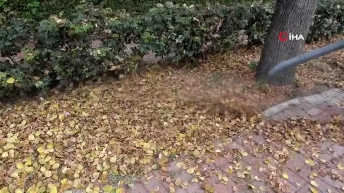 Temizlik ekiplerinin "yaprak" mesaisi kolaylaştı