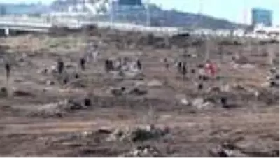 Yanan ormanlık alanlara mabet ağacı dikildi Yanan ormanlık alanlara mabet ağacı dikildi