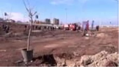 Yanan ormanlık alanlara mabet ağacı dikildi Yanan ormanlık alanlara mabet ağacı dikildi