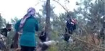 Yuvarlanan tomrukların altında kalarak can verdi