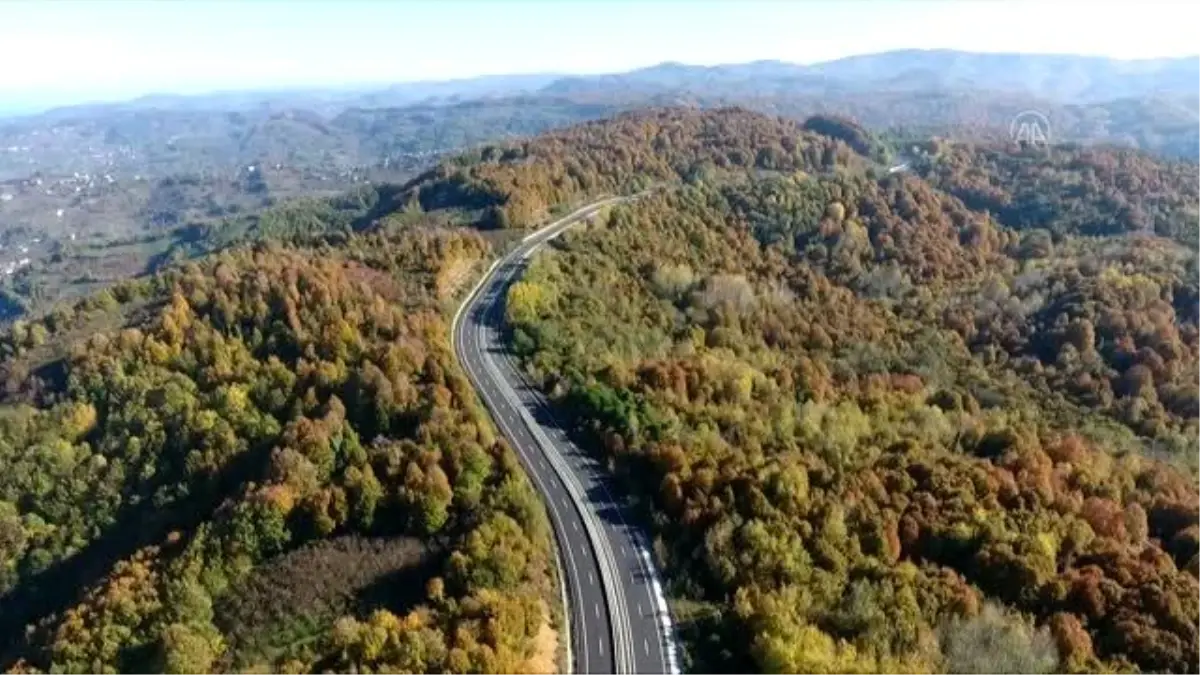 Batı Karadeniz ormanları "hazan" renkleriyle büyülüyor