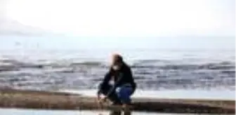 25 yıldır gönüllü olarak inci kefalleri için suyun sıcaklığını ölçüyor