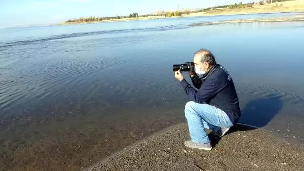 25 yıldır gönüllü olarak inci kefalleri için suyun sıcaklığını ölçüyor