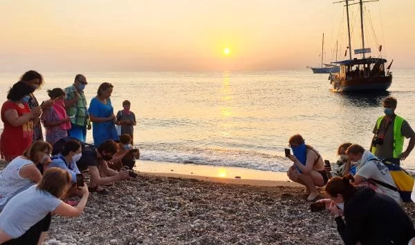 Son dakika haber! 550 bin yavru deniz kaplumbağası denizle buluştu