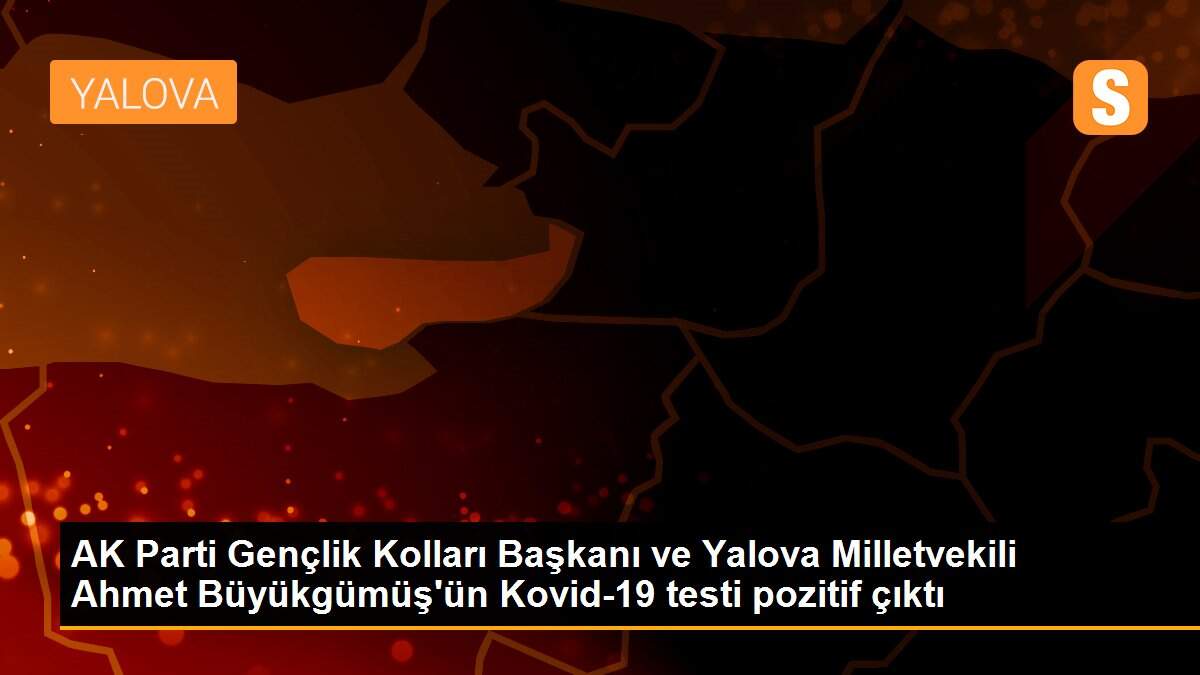 AK Parti Gençlik Kolları Başkanı ve Yalova Milletvekili Ahmet Büyükgümüş\'ün Kovid-19 testi pozitif çıktı