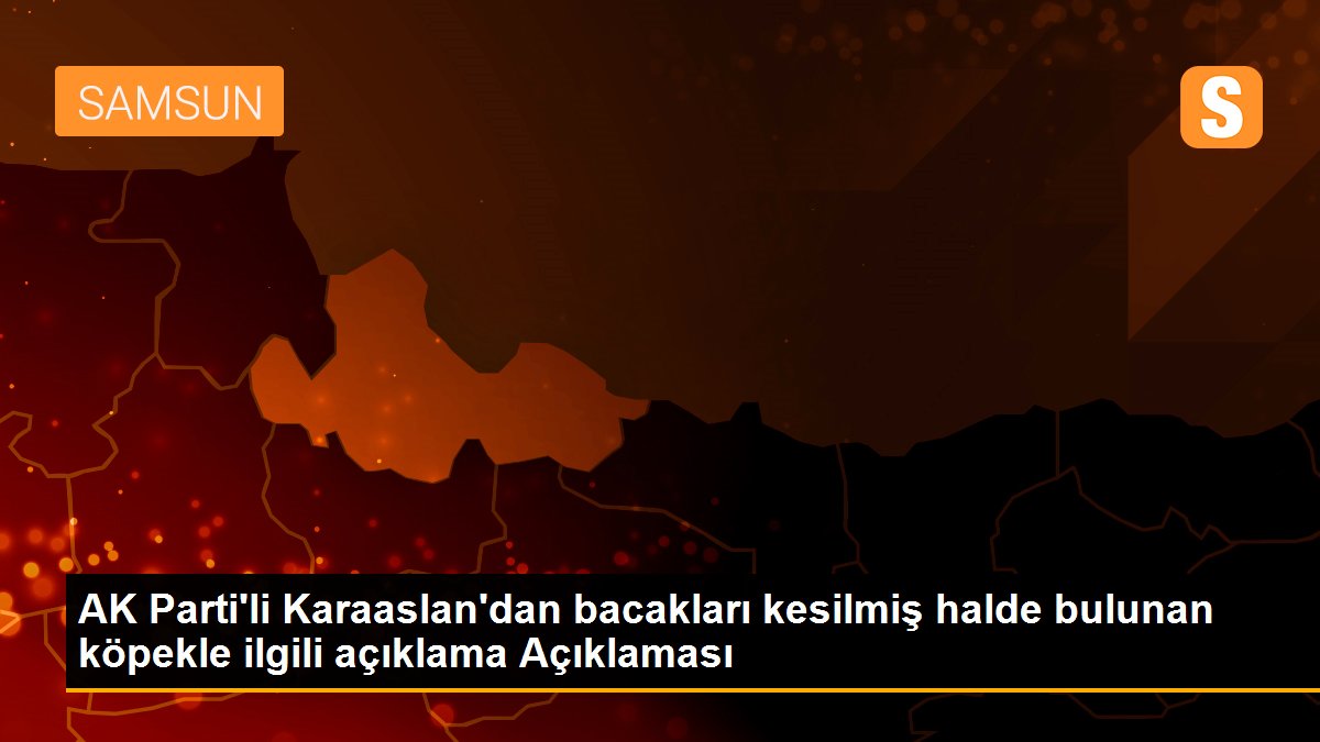 AK Parti\'li Karaaslan\'dan bacakları kesilmiş halde bulunan köpekle ilgili açıklama Açıklaması