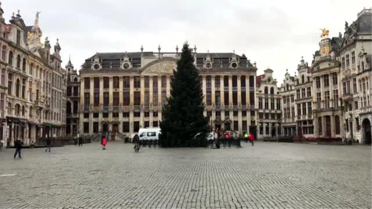 Brüksel\'de 18 metrelik Noel ağacı