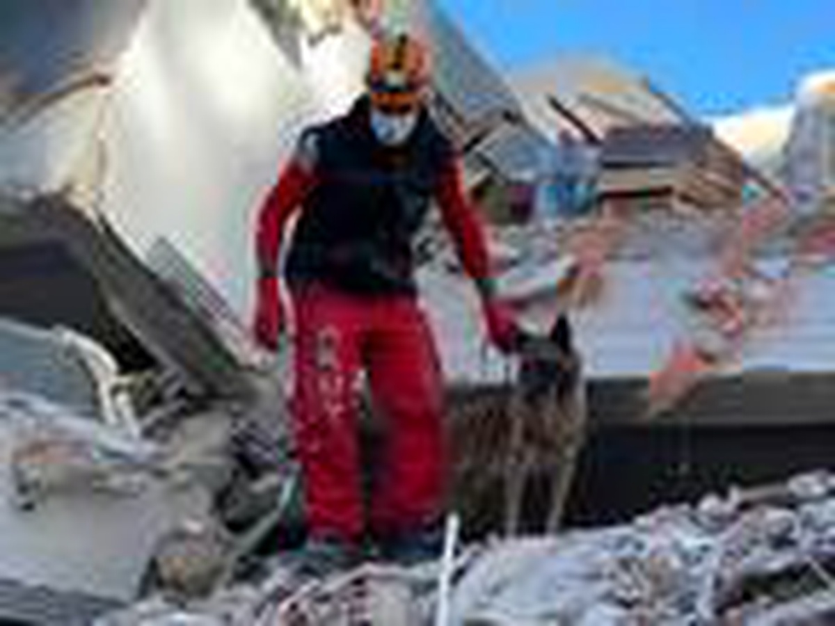 İzmir depreminden sonra AKUT\'a 1000 gönüllü başvurdu