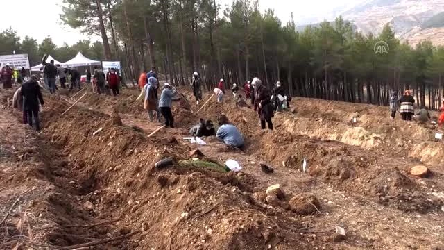 Son dakika haber... KAHRAMANMARAŞ - Yanan ormanlık alan çocukların eliyle yeşerecek