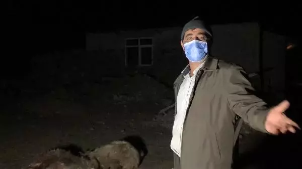 Son dakika haberi... Kurtlar sürüye saldırı 35 koyun öldü Son dakika haberi... Kurtlar sürüye saldırı 35 koyun öldü