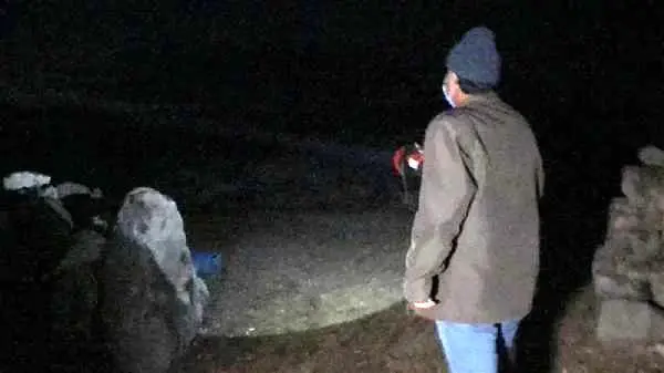 Son dakika haberi... Kurtlar sürüye saldırı 35 koyun öldü Son dakika haberi... Kurtlar sürüye saldırı 35 koyun öldü