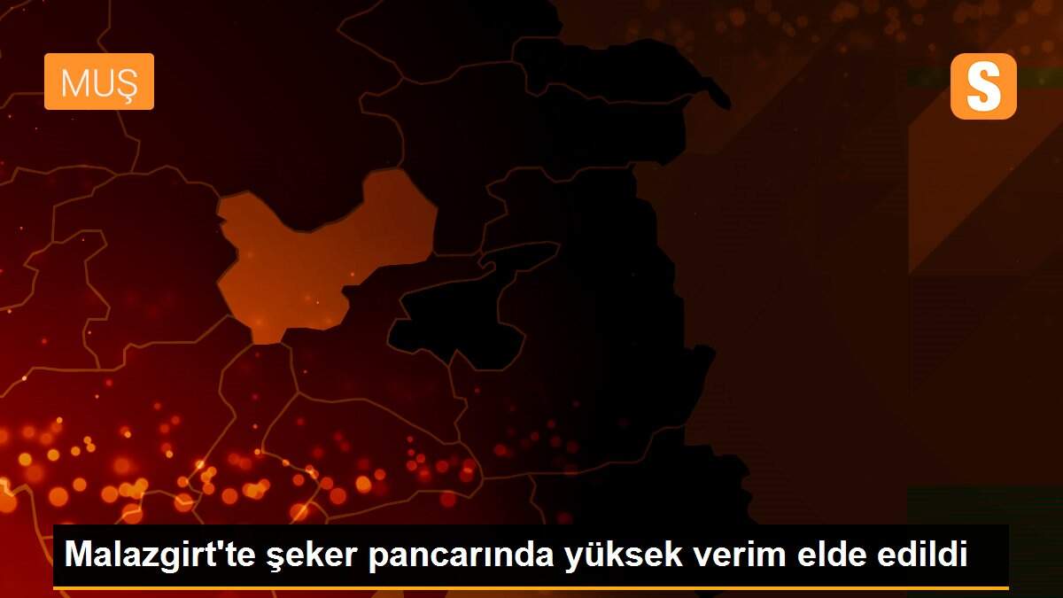 Malazgirt\'te şeker pancarında yüksek verim elde edildi