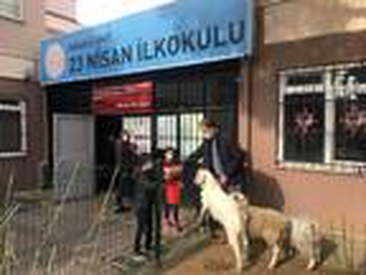 Okul bahçesinde mini hayvanat bahçesi oluşturuldu