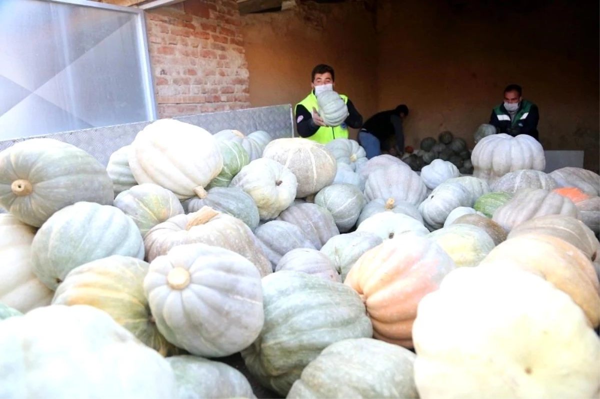 Ürettiği 3 ton bal kabağını ihtiyaç sahipleri için bağışladı