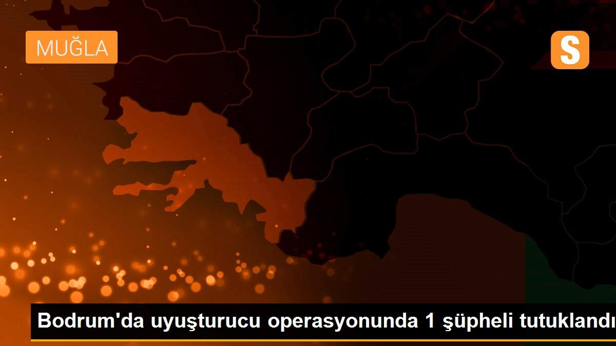 Bodrum\'da uyuşturucu operasyonunda 1 şüpheli tutuklandı