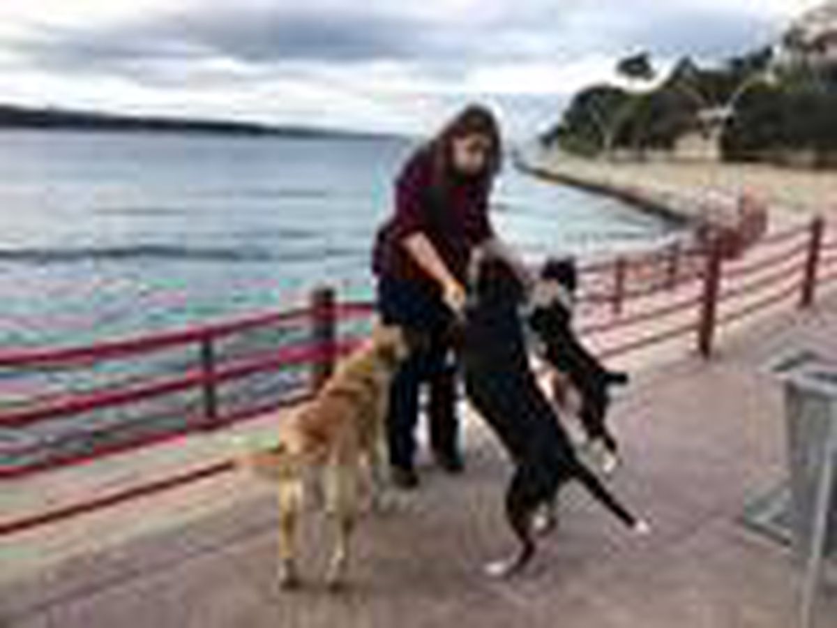 Denizden köpeği kurtaran veteriner hekim Öçal: Vicdan sahibi herkesin yapması gereken bir hareket