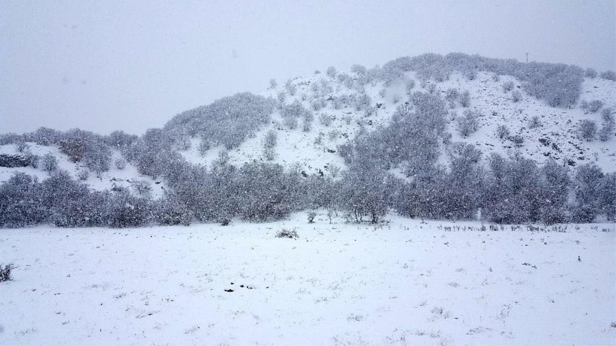 Doğu Anadolu\'da kar yağışı