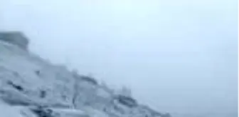 Doğu Karadeniz'de kar yağışı etkili oluyor