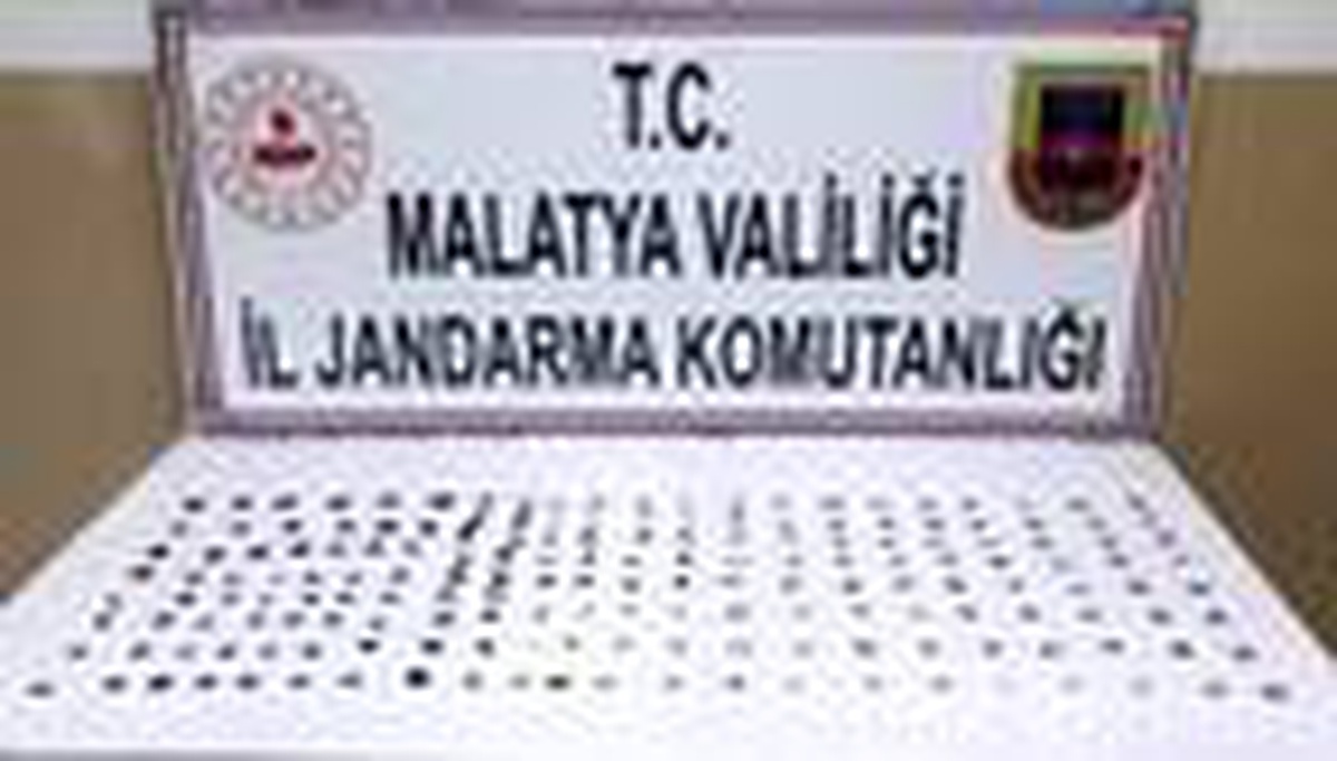 Malatya\'da tarihi eser operasyonu: 1 gözaltı