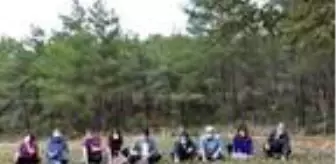 Muğla'da sezonun ilk safran hasadı yapıldı