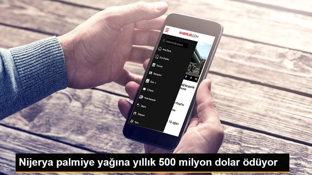 Nijerya palmiye yağına yıllık 500 milyon dolar ödüyor