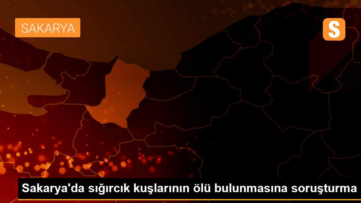 Son dakika haber: Sakarya\'da sığırcık kuşlarının ölü bulunmasına soruşturma