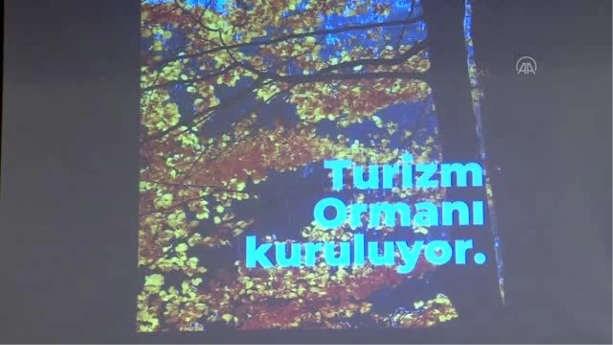 STK\'lerin düzenlediği kampanyayla Hatay\'da "Turizm Ormanı" kurulacak