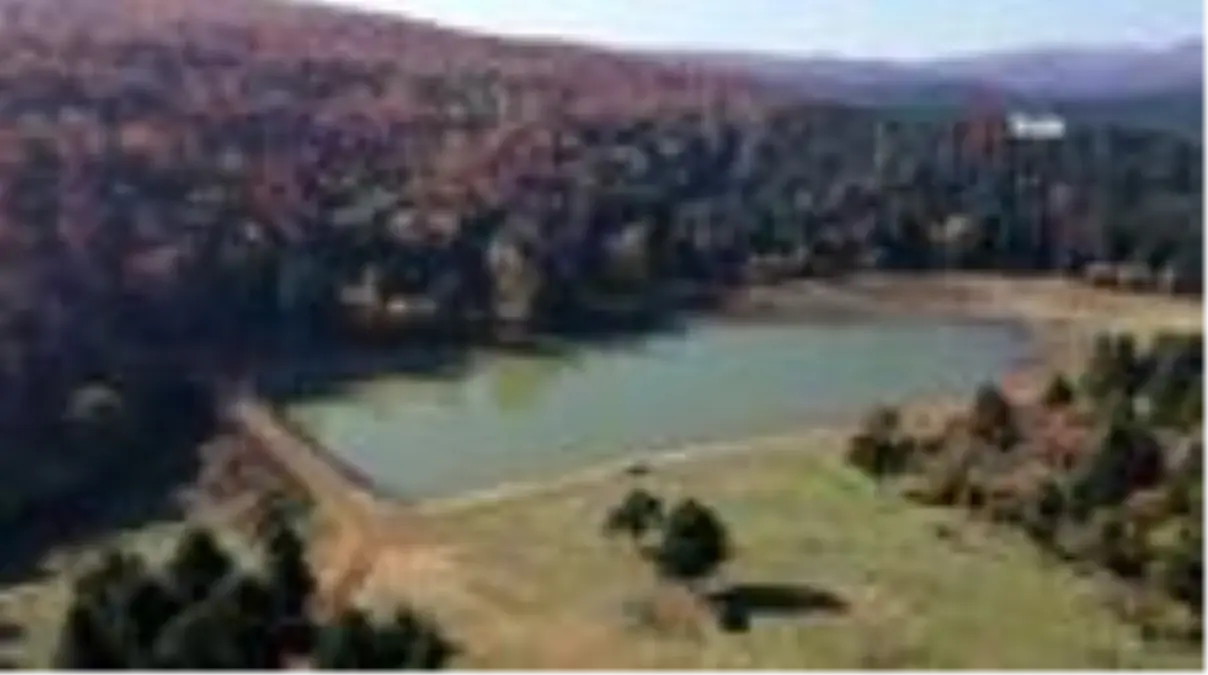 Bolu\'da \'Yılkı Atları\'nın evi At Yaylası\'nda sonbahar güzelliği