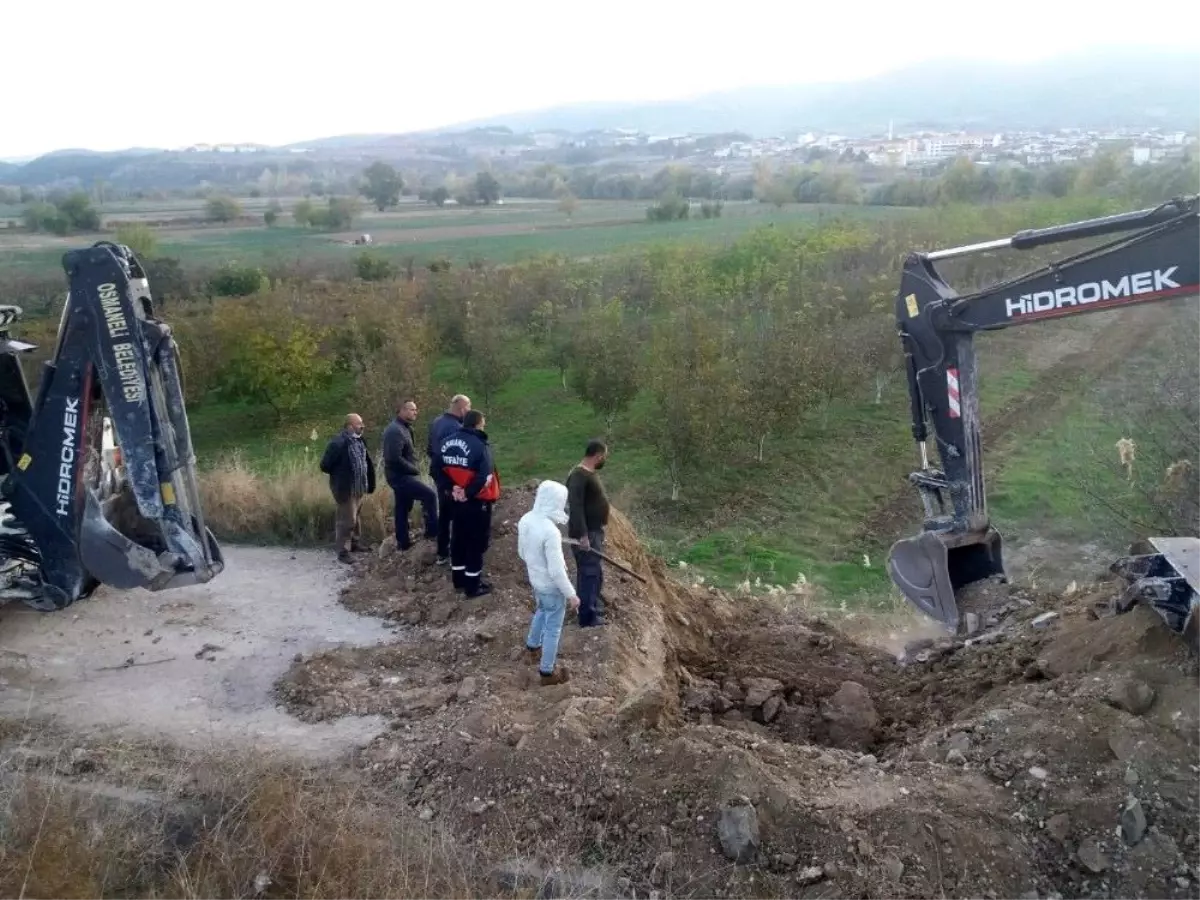 Son dakika haberleri! Menfezde sıkışan 4 ineği itfaiye ve zabıta ekipleri kurtardı