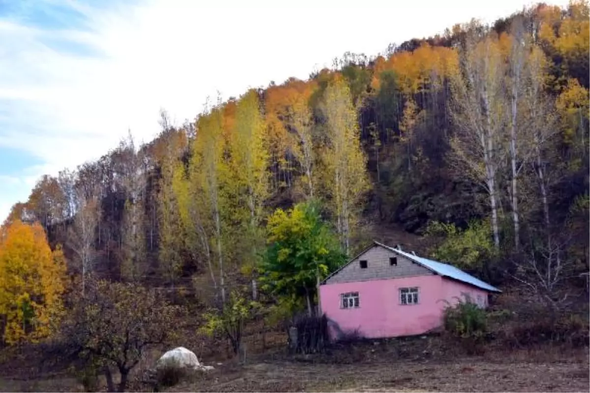 Muş\'ta sonbaharın güzellikleri fotoğraf kareleriyle ölümsüzleştirildi