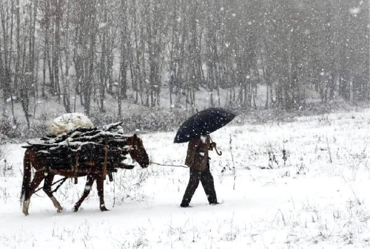 Tunceli\'de kar ve tipi nedeniyle 25 köy yolu ulaşıma kapandı