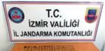Bergama'da, jandarma operasyonunda 284 tarihi eser ele geçti