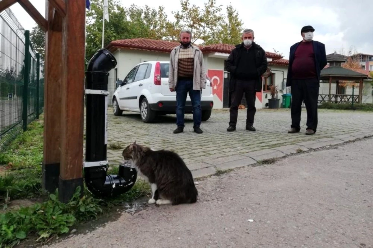 Kartepe\'nin sevimli dostlarına yeni kaplar