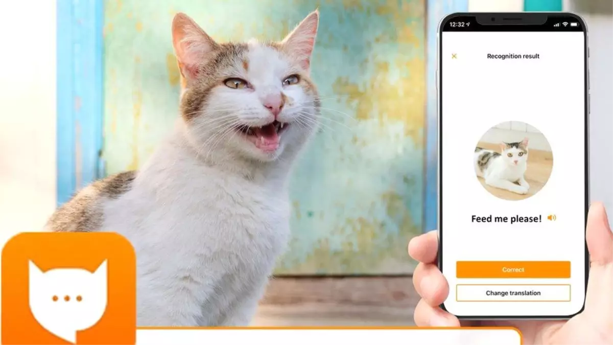 MeowTalk: Kedilerin miyavlamalarını tercüme eden uygulama